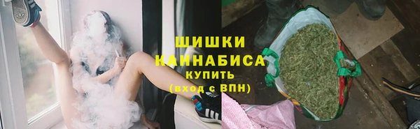 мдпв Майский