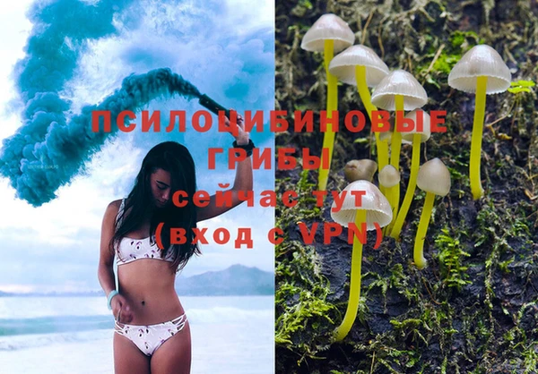 мдпв Майский