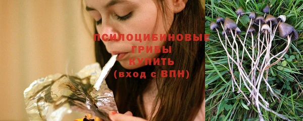 мдпв Майский