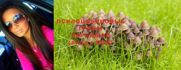 мдпв Майский