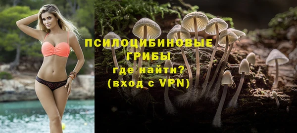 ALPHA-PVP Магас