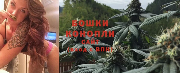 мдпв Майский