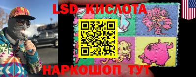 a pvp Донской