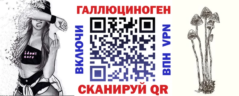 ссылка на мегу зеркало  Павловский Посад  Галлюциногенные грибы Psilocybine cubensis 