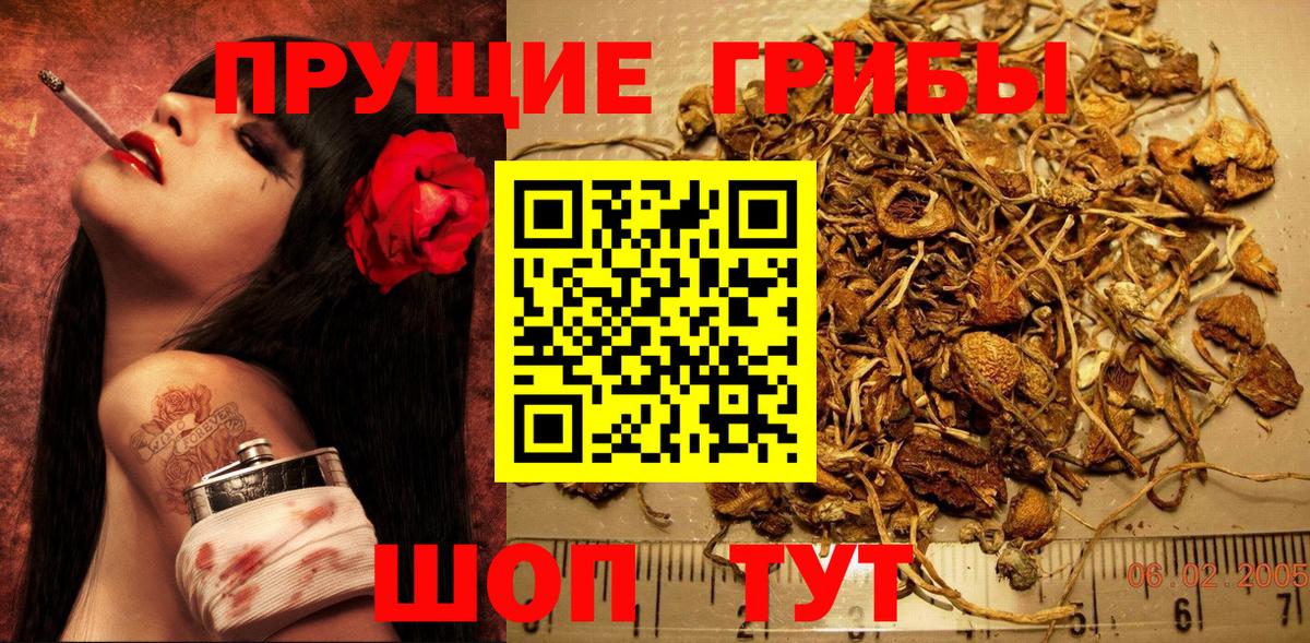 Псилоцибиновые грибы MAGIC MUSHROOMS Павловский Посад